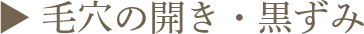 ▶︎ 毛穴の開き・黒ずみ